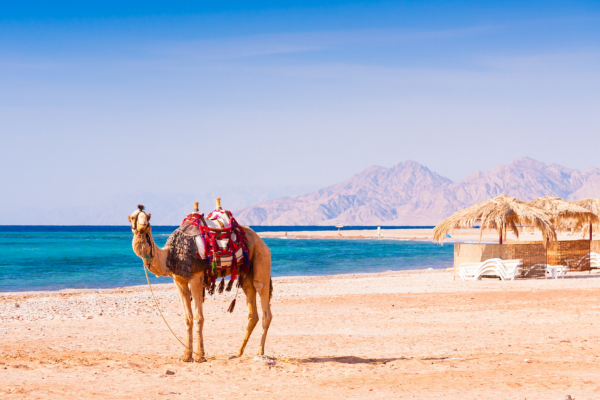 Rotes Meer Resorts