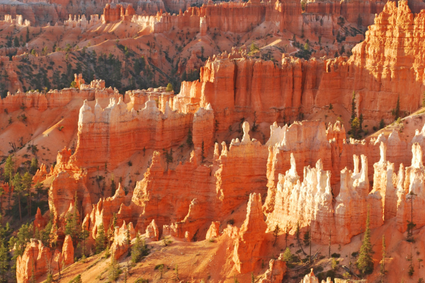 Einzigartige Hoodoos und Formationen aus rotem Fels im Bryce Canyon Nationalpark. Bryce Canyon Nationalpark