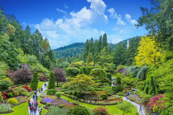 Butchart Gardens, Victoria: Botanische Oase in Kanada Farbenfrohe Blumen in Butchart Gardens