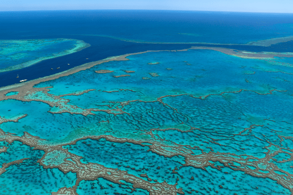 Luftaufnahme des Great Barrier Reefs in Australien