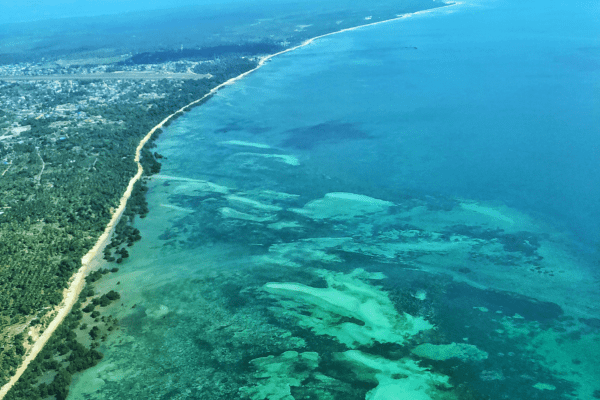 Mafia Nationalpark in Tansania