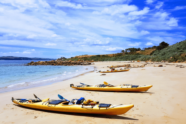 Philip Island Nature Park, Australien