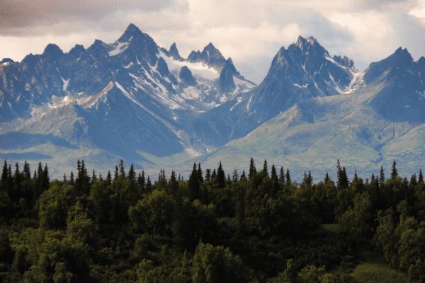 Rocky Mountains: Naturwunder und Abenteuerparadies Panoramablick auf die Rocky Mountains