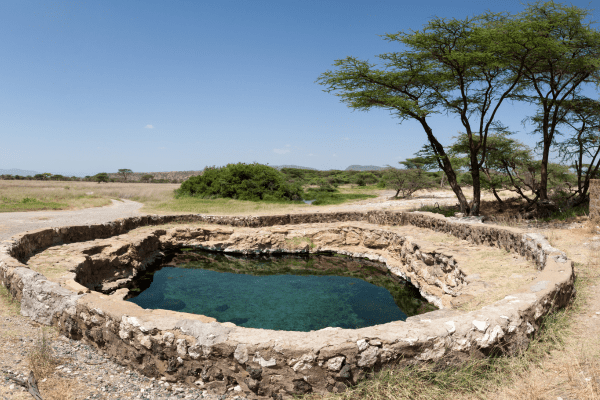 Tauchen Sie ein in die faszinierende Tierwelt von Samburu und Buffalo Springs Reservat in Kenia. Samburu und Buffalo Springs Reservat in Kenia