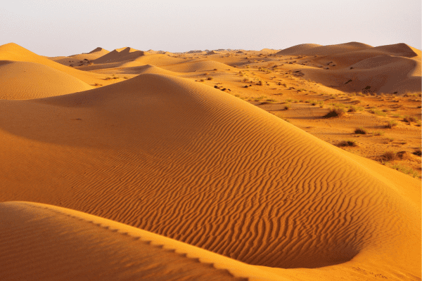 Wahiba Sands Reservat