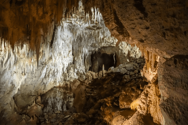 Faszinierende Glühwürmchen in den unterirdischen Waitomo Caves, Neuseeland