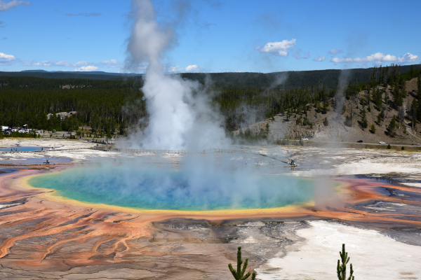 Ausbrechende Geysire inmitten der unberührten Wildnis des Yellowstone Nationalparks Yellowstone Nationalpark - Amerikas erster Nationalpark